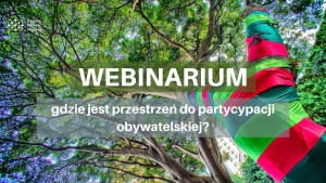 Webinarium: Ochrona drzew w miastach – gdzie jest przestrzeń do partycypacji obywatelskiej?