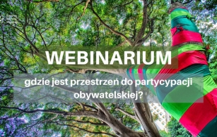 Webinarium: Ochrona drzew w miastach – gdzie jest przestrzeń do partycypacji obywatelskiej?